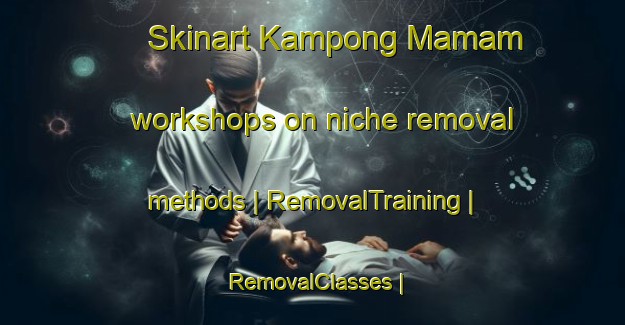 Skinart Kampong Mamam workshops on niche removal methods | RemovalTraining | RemovalClasses | SkinartTraining-Singapore